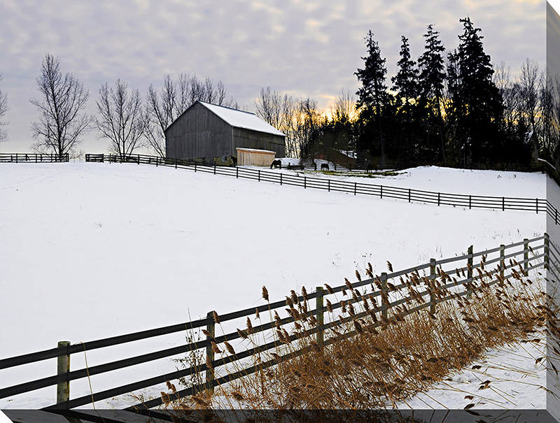Winter Farm 2